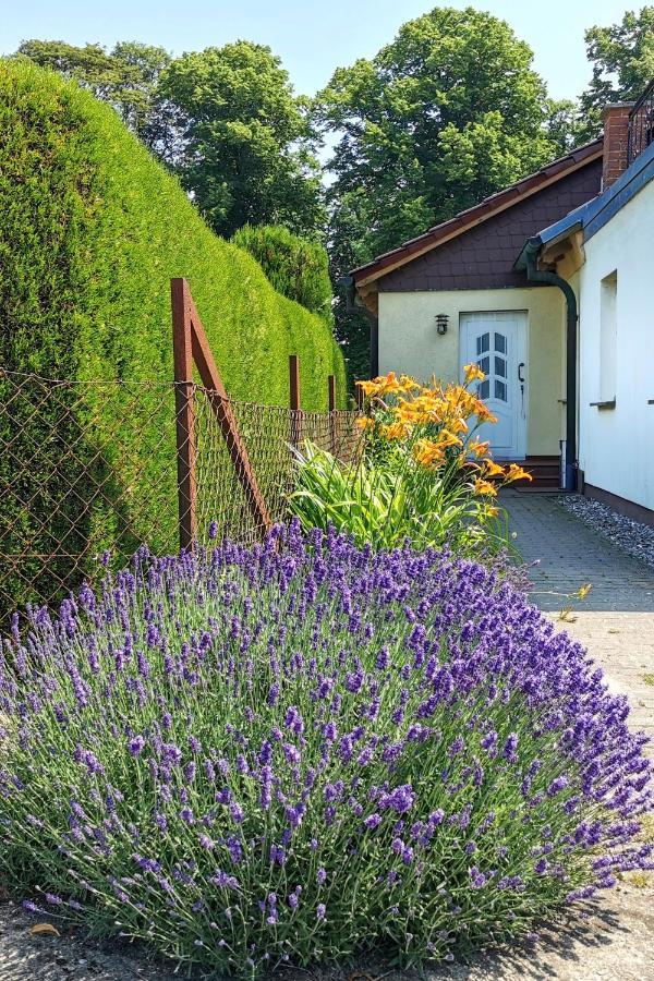 Fewo Albrecht In Metschow Borrentin エクステリア 写真