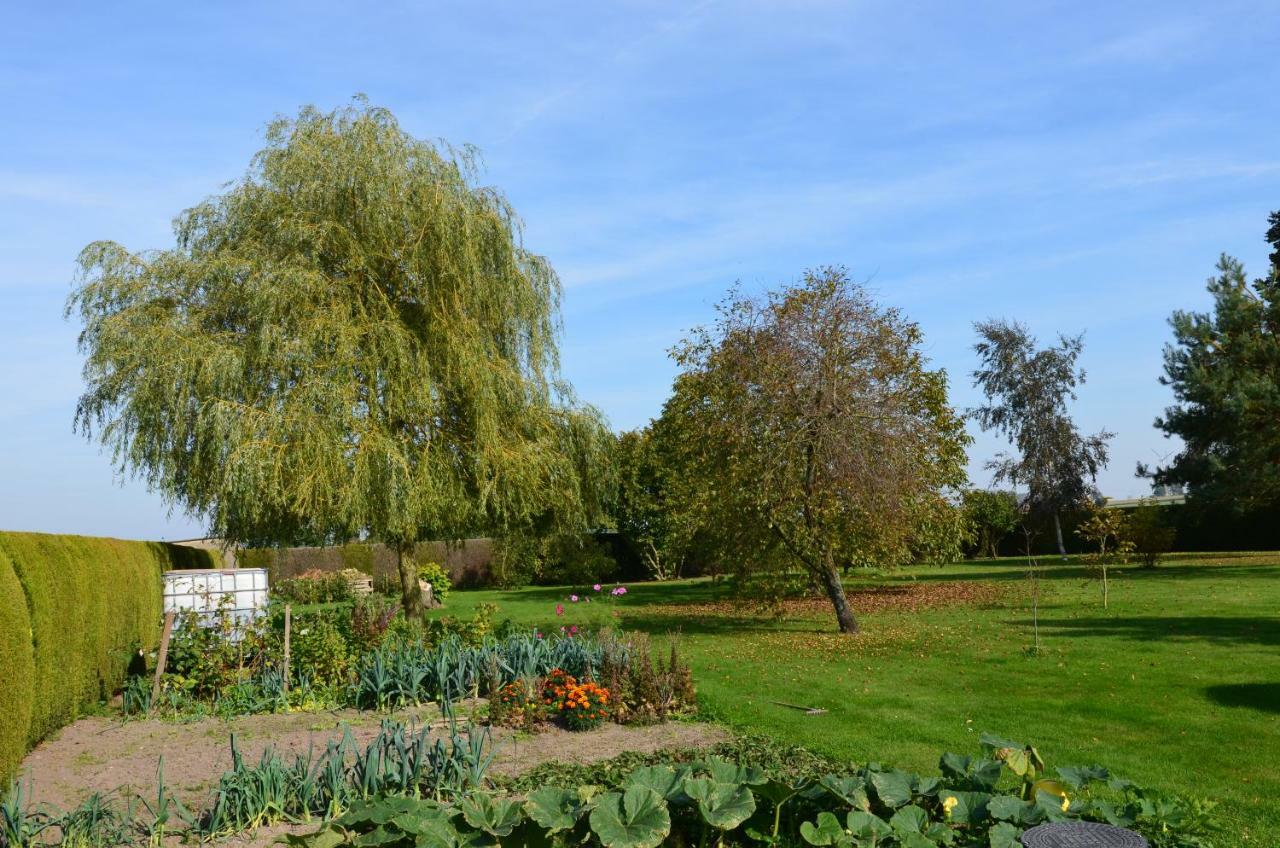 Fewo Albrecht In Metschow Borrentin エクステリア 写真